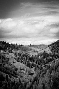 Adei Bundy