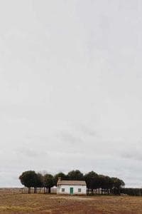 Rachel Frobel