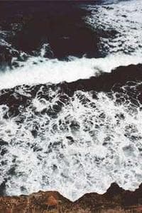 Fung Sau-Wai