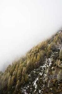 Giustiniano Alpi