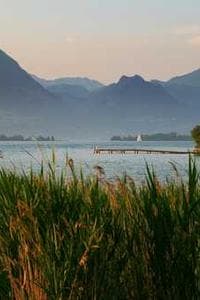 Reagan Lake Champnella