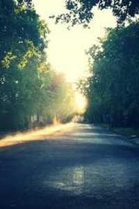 Shere Ladd
