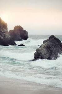 Dominatia