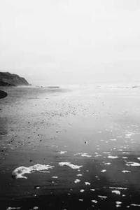 Steph Goossens