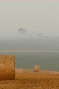 Sulastri