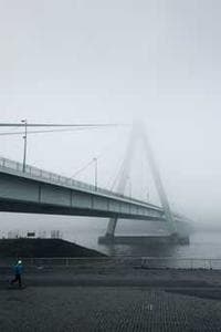 Lut Hannes