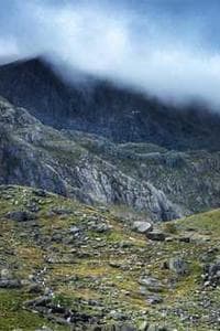 Terry Cavers