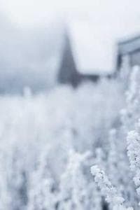 Magnus Nilsson
