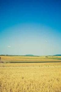 Θοδωρής Γκόνης