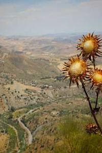 Μίρνα Μηλιώνη