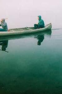 Taha Bouhafs