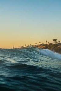 Rande Scott