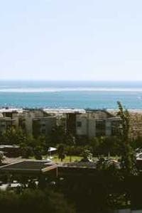 Sharareh Rajaei