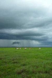 Douglas Storm