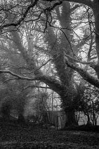 Richard Blackett