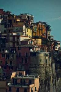 Riccardo Niceforo