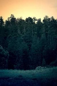 Jacklyn Johnson