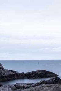 Alasdair Harvey