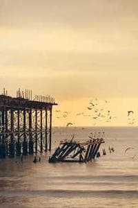 Andy Bardell