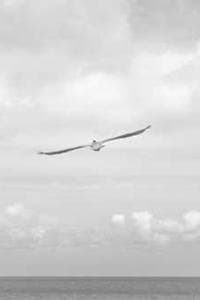 Larkin Hastings