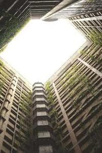 Kiray Xinyao Wang