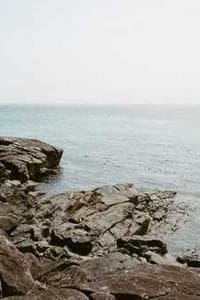 Rashed Estefenn