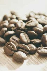 Nefti Millet