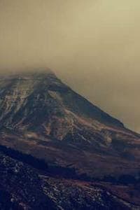 Tavish Grade