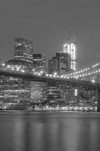 David Shuster