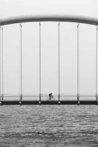 Tony Marot