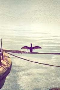 Basant Lahoriya