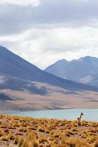 Danharry Colorado Cortes