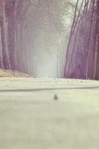 Insha Pathan