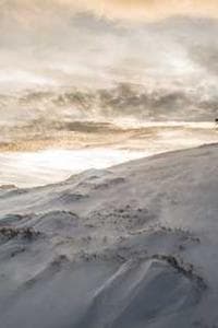 Andrew Secunda