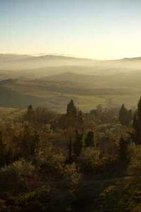 Luce Ferrald