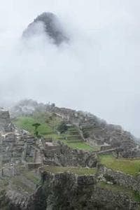 Neeli