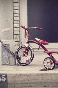 Margarida Pamplona Leite