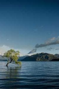 Kaupo Parve