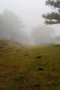 Colline Libon