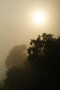 محمود اﻷطرش