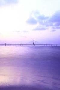 Suttichoke Janya-Angkul