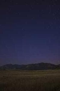 Silvian Duica