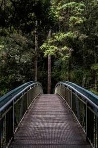 Mark Versoza