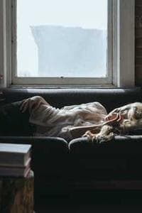Lynley Laurence