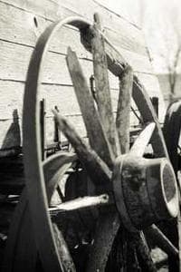 Dean Bone