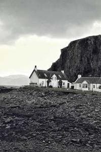 Robin Muir