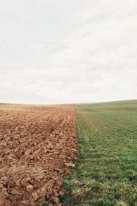 Tzancă Uraganu