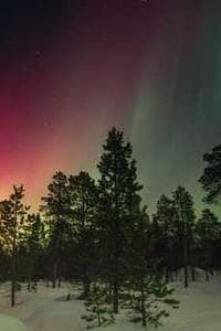 Louis Beckett-Cluchey