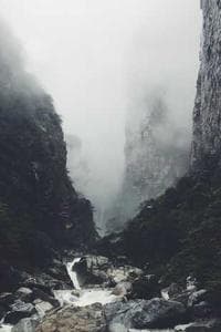 王实