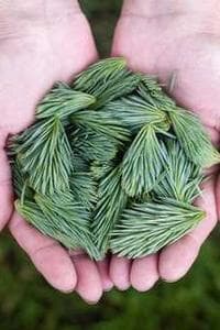 Valerijus Knyšovas